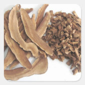 Reishi Mushroom Sticker (Voorkant)