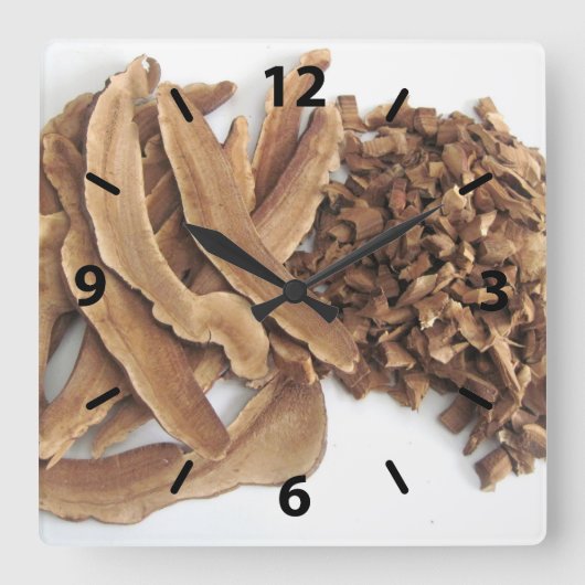 Reishi Mushroom Wall Clock Vierkante Klok (Voorkant)