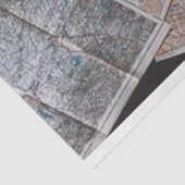 Reiskaarten 20x30-decoupage-achtergrond tissuepapier (Detail)