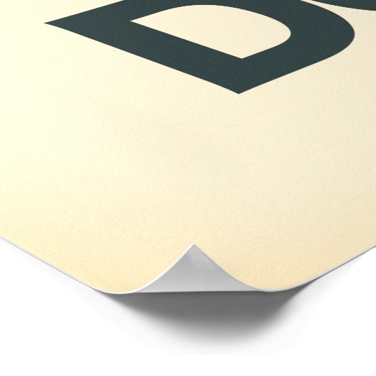 Reisposter Donegal Seaside Poster (Hoek)