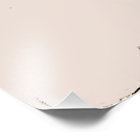  reisposter Florida Pelican Foto Afdruk (Hoek)