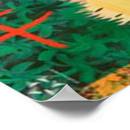 Reisposter Hawaii Poster (Hoek)