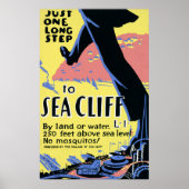 Reisposter Promoting Zee Cliff, Long Island Poster (Voorkant)