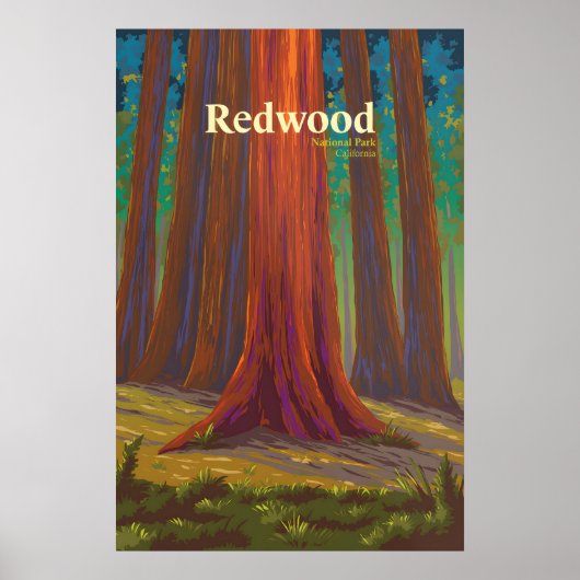Reisposter Redwood National Park Poster (Voorkant)
