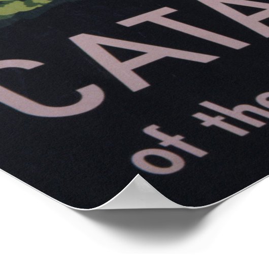 Reisposter - Santa Catalina Island, Californië Poster (Hoek)