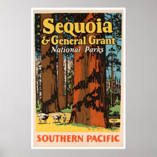 Reisposter Sequoia National Park Californië Poster