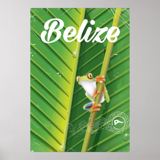 reisposter van de cartoon van Kikker Poster (Voorkant)