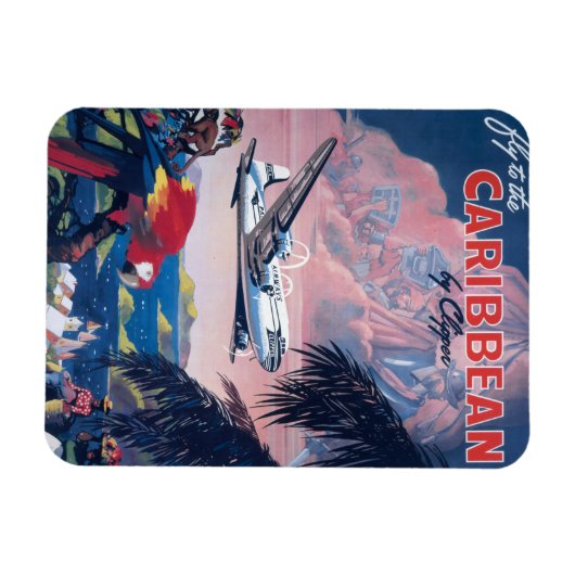 Reisposter van watervliegtuig vliegend over Caribi Magneet (Horizontaal)