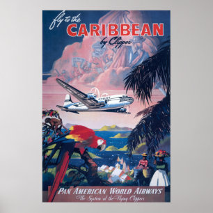 Reisposter van watervliegtuig vliegend over Caribi Poster