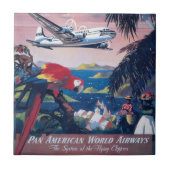 Reisposter van watervliegtuig vliegend over Caribi Tegeltje (Voorkant)