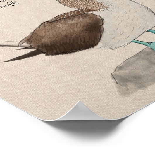 Reisposter: vogels op de Galapagos-eilanden Poster (Hoek)