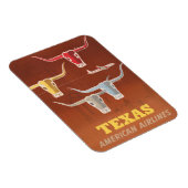 Reisposter voor American Airlines naar Texas Magneet (Rechterzijde)