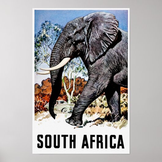 Reisposter Zuid-Afrika Poster (Voorkant)