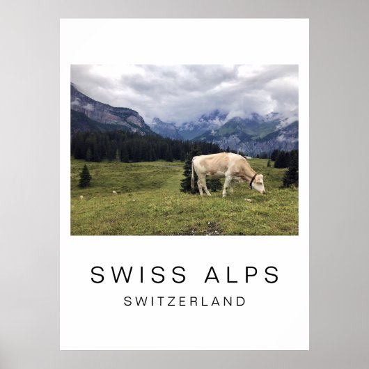 Reisposter, Zwitserse Koe,  Poster (Voorkant)