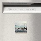 reisverslag_3 magneet (Insitu (Vaatwasser))