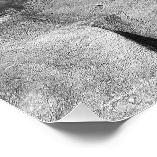 Reizen Coral Cove Florida Beach Fotografie Perfect Poster (Hoek)