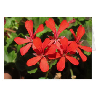 Reizen in Noord-Italië