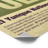 Reizen naar Puerto Rico: El Yunque Poster (Hoek)