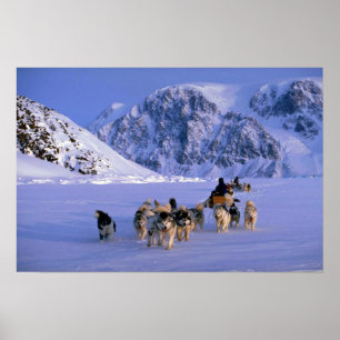 Reizen op Ellesmere Island Poster