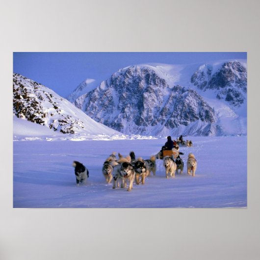 Reizen op Ellesmere Island Poster (Voorkant)