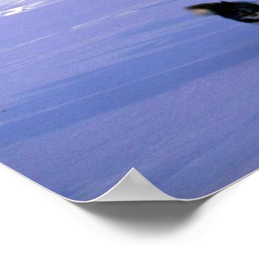 Reizen op Ellesmere Island Poster (Hoek)