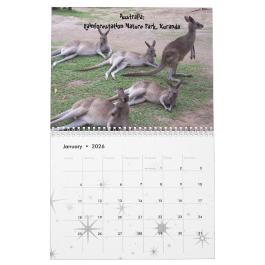 Reizen over de wereld! - Agenda 2020 Kalender (Jan 2026)