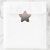 Reizen Ster Sticker (Tas)