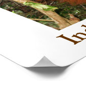 Reizen van de Orangutans Poster (Hoek)