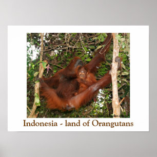 Reizen van de Orangutans Poster
