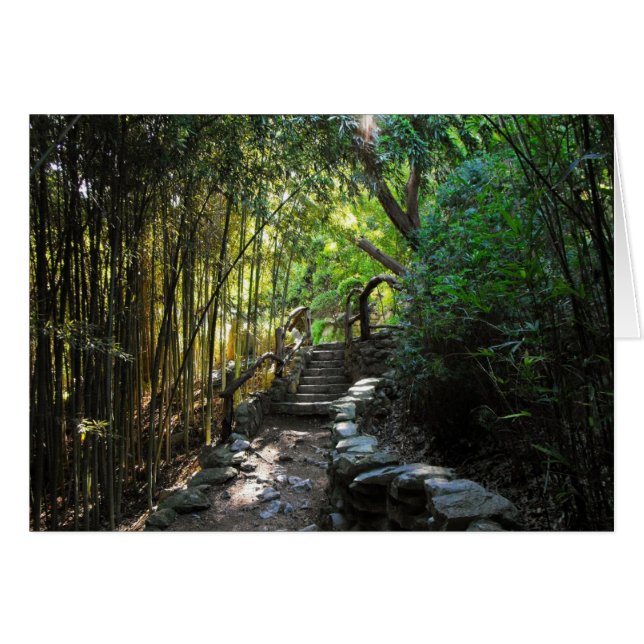 Reizen van een Duizend Miles (Voorkant Horizontaal)