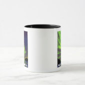 Reizen voor het noordelijk gedeelte van de lampvoe mok (Midden)