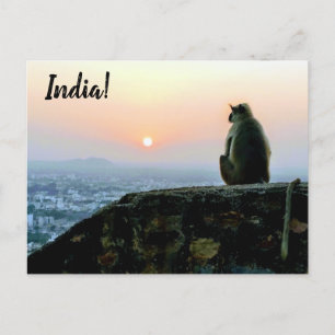Reizen Vredige Meditatie Aap India Zonsondergang Briefkaart