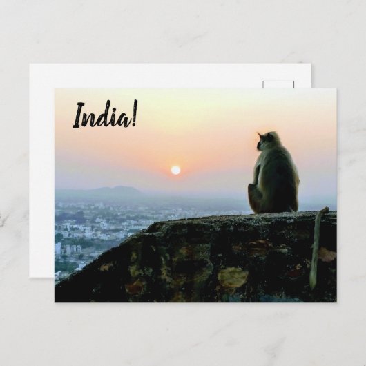Reizen Vredige Meditatie Aap India Zonsondergang Briefkaart (Voorkant / Achterkant)