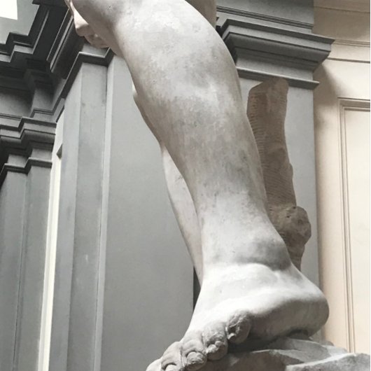 Reizende Waterfles Waterfles