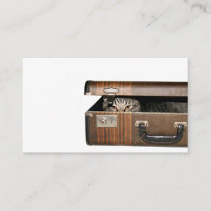 Reizigend visitekaartje van katten