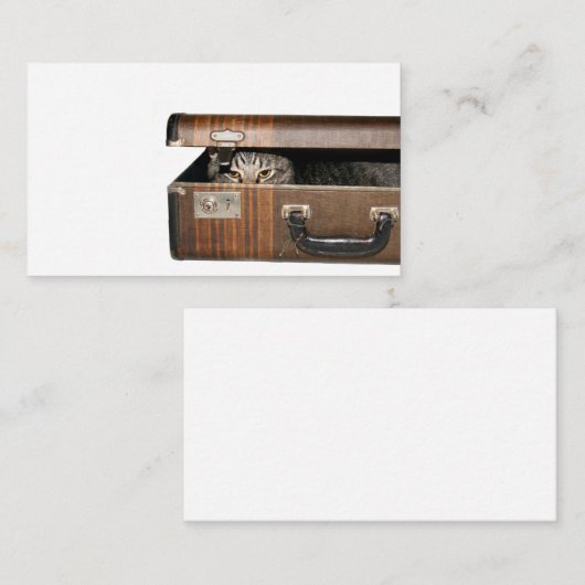 Reizigend visitekaartje van katten (Voorkant / Achterkant)