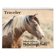 Reiziger van McCullough Peaks Wild Horse
