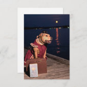 Reiziger Zeeman Hond grappig kostuum boek notitiek Bedankkaart (Voorkant / Achterkant)