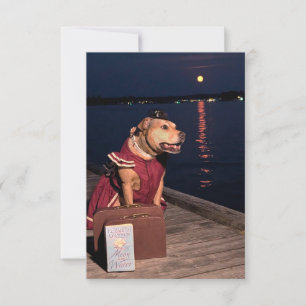Reiziger Zeeman Hond grappig kostuum boek notitiek Bedankkaart