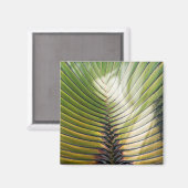 Reizigersboom - Guadeloupe Magneet (Voorkant / Achterkant)