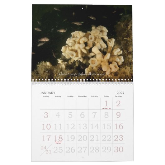 Reizigersdienst 2010 kalender (Jan 2027)