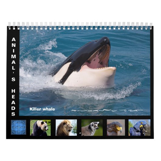 Reizigerskoppen 12-maandenkalender kalender (Hoes)