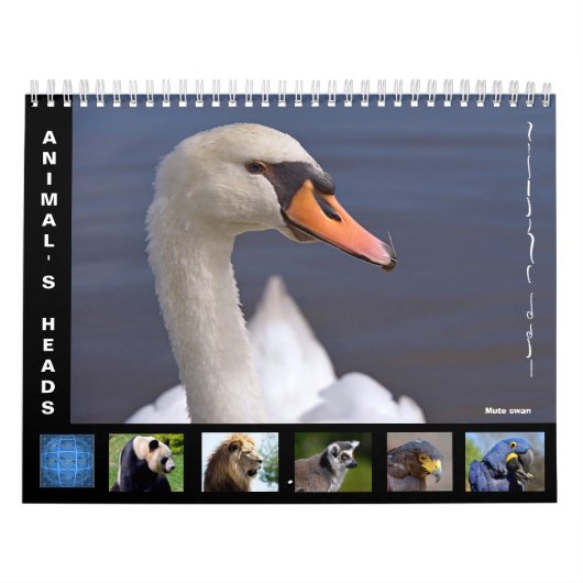 Reizigerskoppen 12-maandenkalender kalender (Hoes)