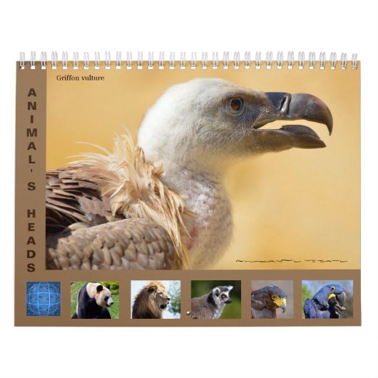 Reizigerskoppen 12-maandenkalender kalender (Hoes)