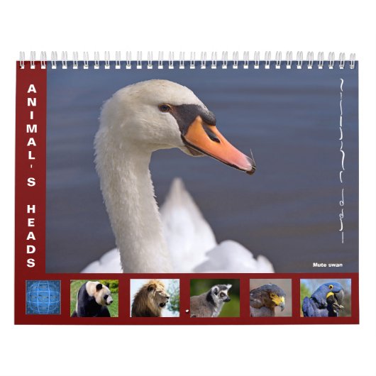 Reizigerskoppen 12-maandenkalender kalender (Hoes)