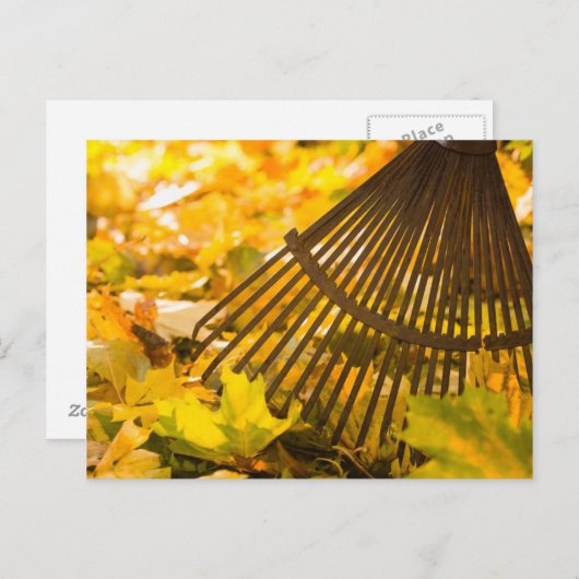 Rek en luiken briefkaart (Voorkant / Achterkant)