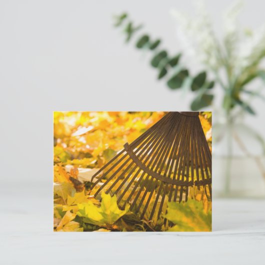 Rek en luiken briefkaart (Staand voorkant)