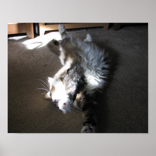 Rek.... Poster (Voorkant)