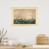 Rek van het schip "San Francisco" (1877A) Poster (Keuken)