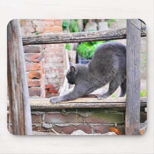 Rekkende kat muismat (Voorkant)